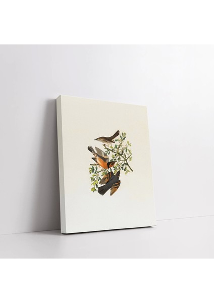 Daldaki Serçe Kanvas Tablo fiyatları
