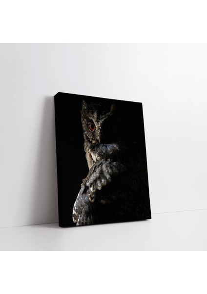 Baykuş Kanvas Tablo fiyatları