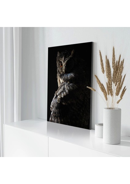 Baykuş Kanvas Tablo modelleri