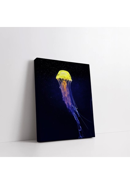 Renkli Deniz Anası Kanvas Tablo fiyatları