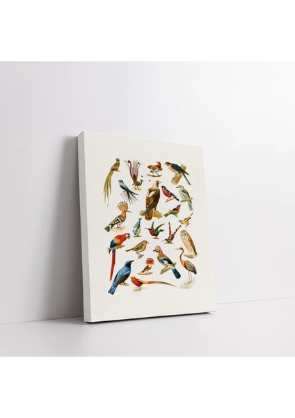 Familya Kuşlar Kanvas Tablo fiyatları