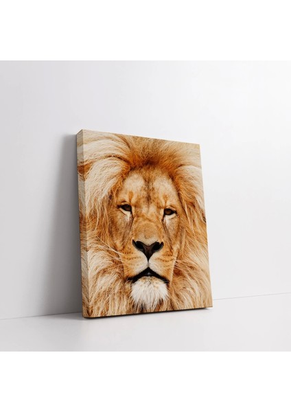 Sarı Aslan Kanvas Tablo fiyatları