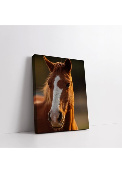 Kahverengi Gözlü At Kanvas Tablo fiyatları