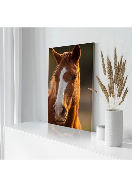 Kahverengi Gözlü At Kanvas Tablo modelleri
