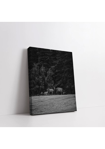 Ormandaki Geyikler Kanvas Tablo fiyatları