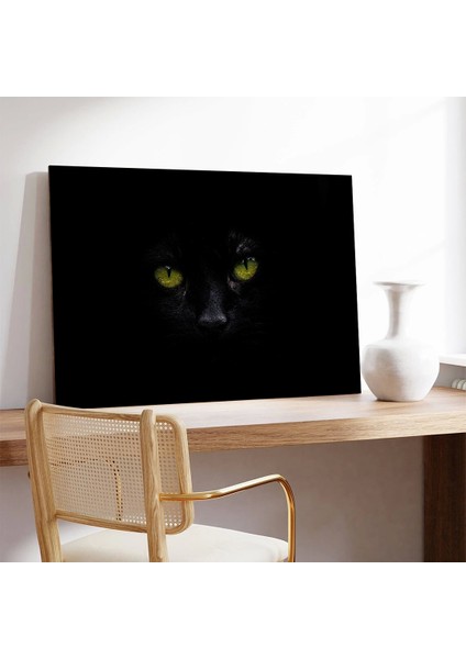 Gizemli Kedi Kanvas Tablo modelleri