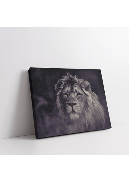 Aslan Portresi Kanvas Tablo fiyatları