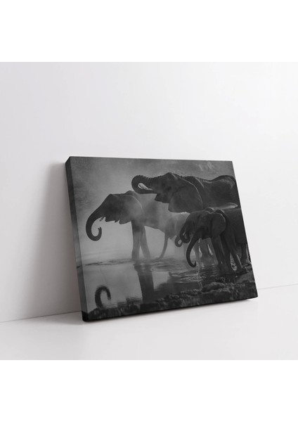 Fil Sürüsü Kanvas Tablo fiyatları