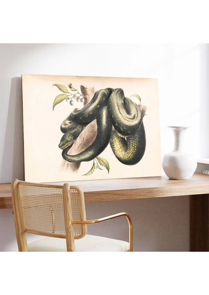 Doğanın Halkaları Kanvas Tablo modelleri