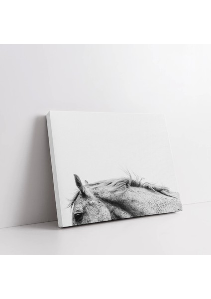 Noble Kontur Kanvas Tablo modelleri