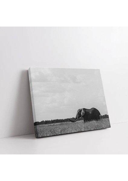 Sakin Suların Öyküsü Kanvas Tablo fiyatları