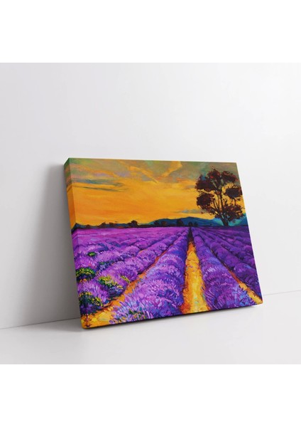 Lavanta Rüyası Kanvas Tablo fiyatları