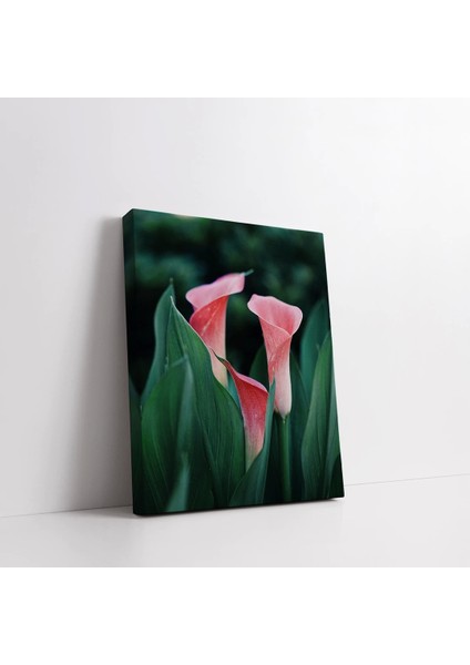 Pembe Zambak Kanvas Tablo fiyatları