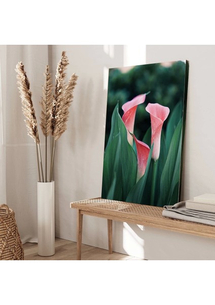 Pembe Zambak Kanvas Tablo modelleri