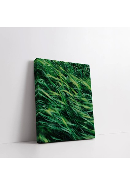 Çimenlerin Rüyası Kanvas Tablo fiyatları