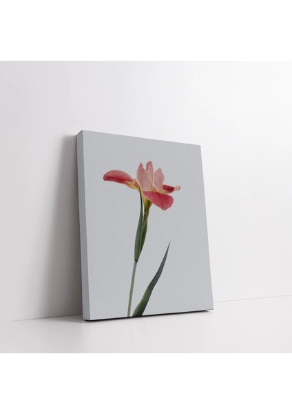 Pembe Lale Buketi Kanvas Tablo fiyatları