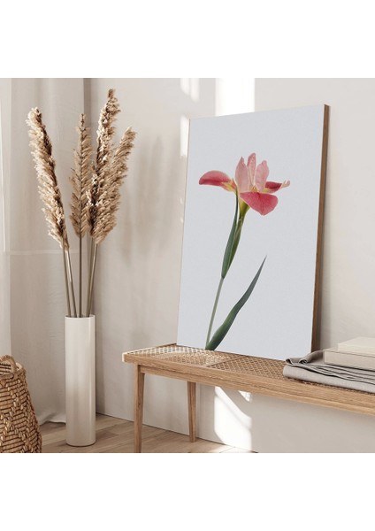 Pembe Lale Buketi Kanvas Tablo modelleri