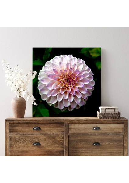 Pembe Yıldız Çiçeği Kanvas Tablo modelleri