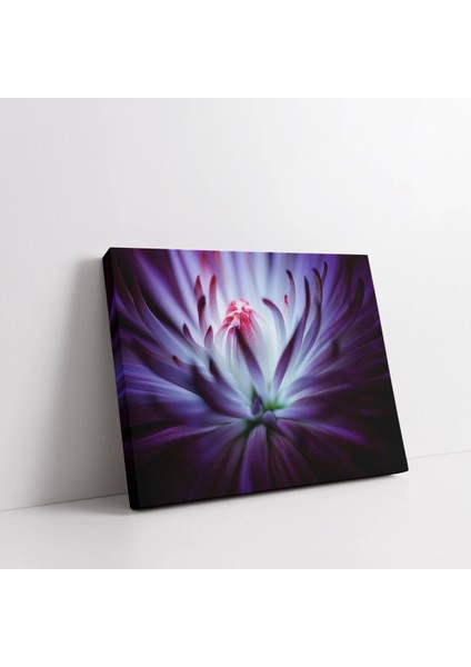 Makro Papatya Kanvas Tablo fiyatları