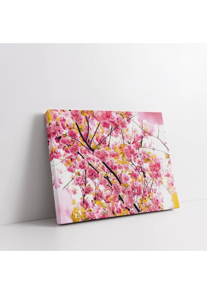 Şeftali Çiçeği Kanvas Tablo fiyatları