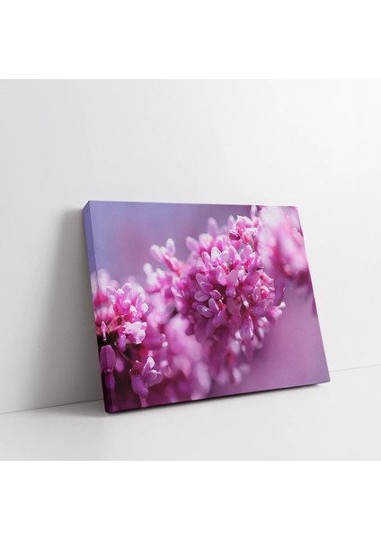 Lila Rengi Çiçekler Kanvas Tablo fiyatları