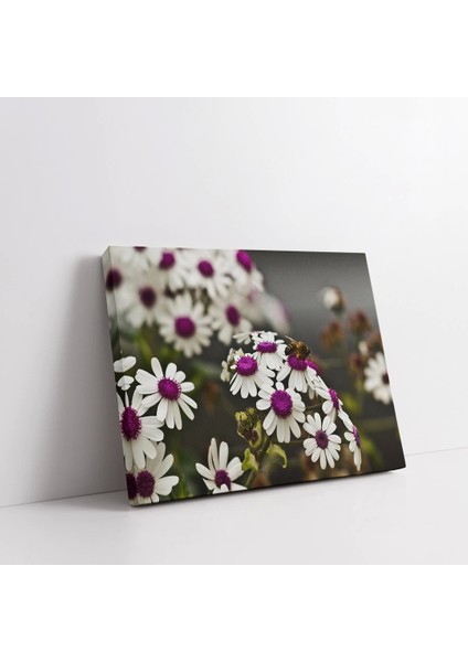 Papatyalar Kanvas Tablo fiyatları