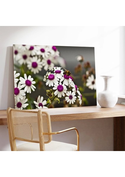 Papatyalar Kanvas Tablo modelleri