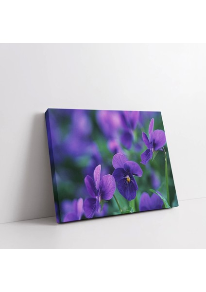 Mor Çiçekler Kanvas Tablo fiyatları