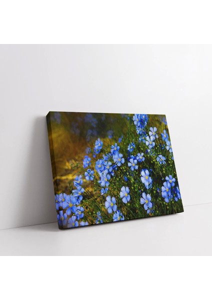 Mavi Çiçek Tarlası Kanvas Tablo fiyatları