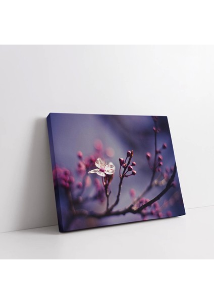 Beyaz Pembe Çiçek Kanvas Tablo fiyatları