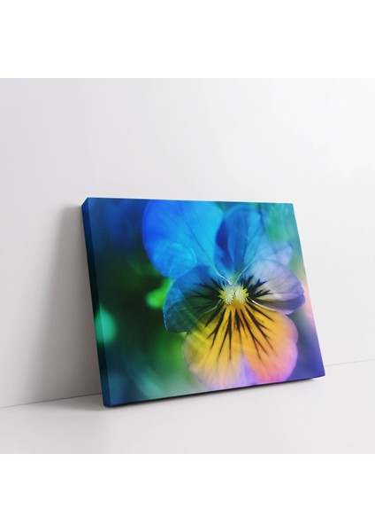 Neo Menekşe Kanvas Tablo fiyatları