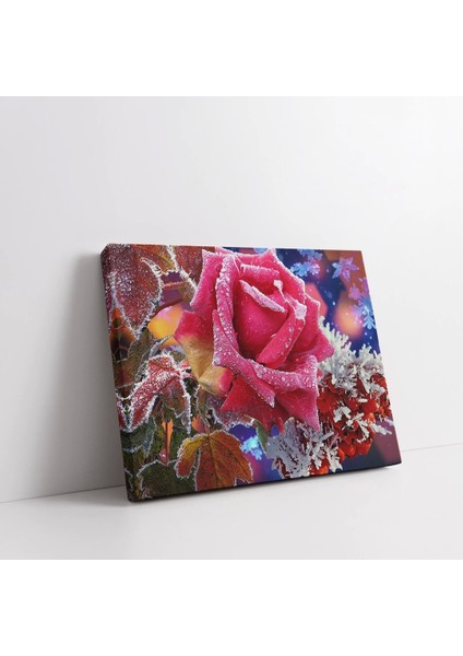 Soyut Pembe Gül Kanvas Tablo fiyatları