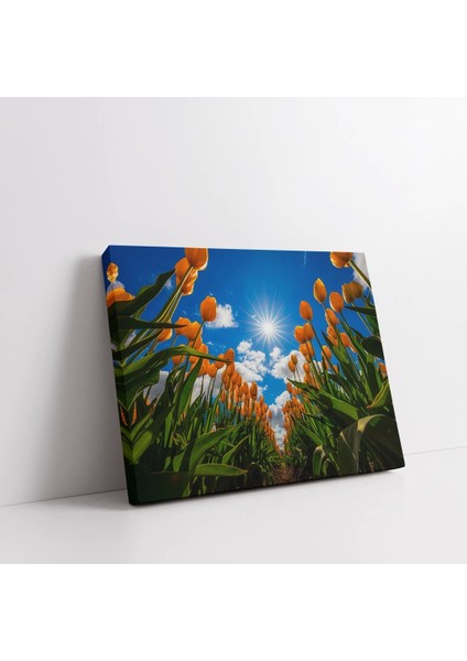Gökyüzüne Uzanan Sarı Laleler Kanvas Tablo fiyatları