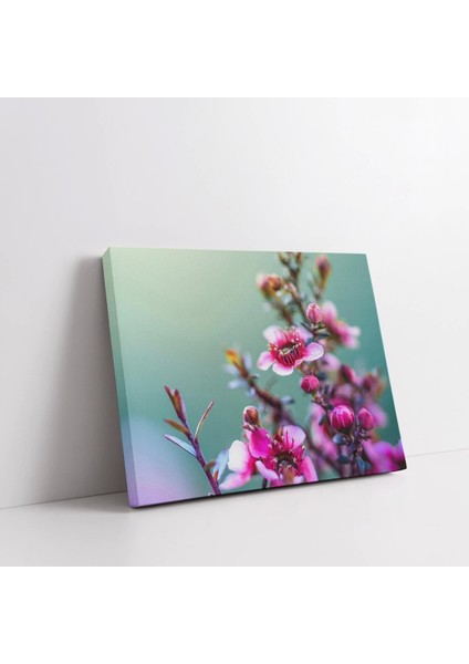 Kiraz Çiçekleri Kanvas Tablo fiyatları