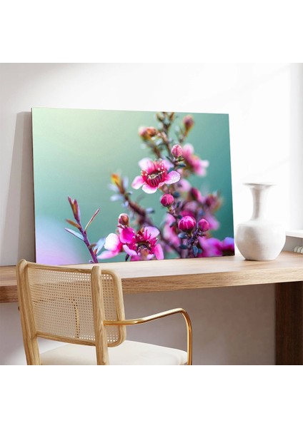 Kiraz Çiçekleri Kanvas Tablo modelleri