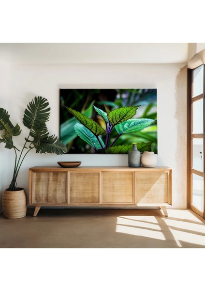 Yaprakların Detayları Kanvas Tablo