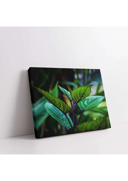 Yaprakların Detayları Kanvas Tablo fiyatları