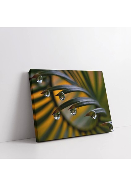 Yapraktaki Akan Su Kanvas Tablo fiyatları