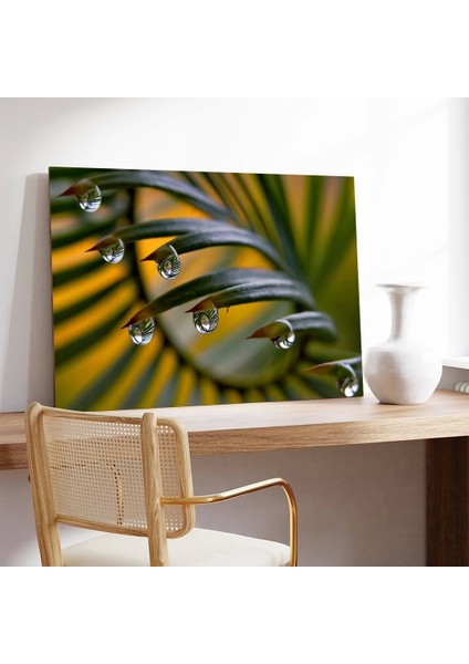 Yapraktaki Akan Su Kanvas Tablo modelleri