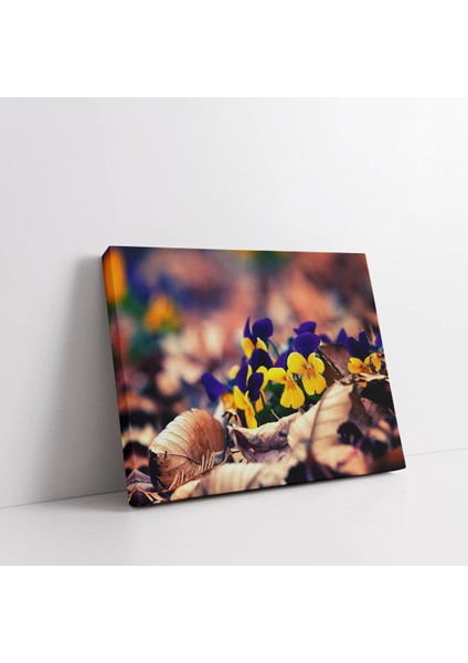 Menekşe Kanvas Tablo fiyatları