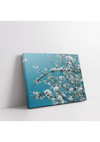 Badem Çiçeği Kanvas Tablo fiyatları