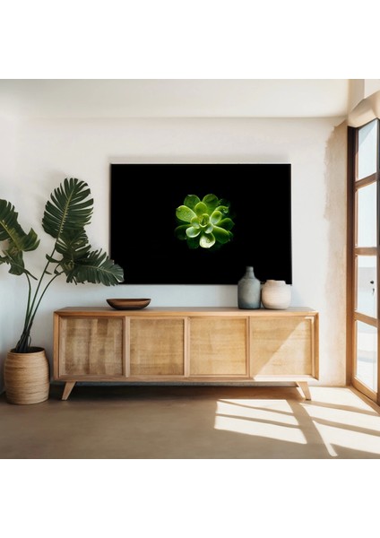 Yapraktaki Damla Kanvas Tablo