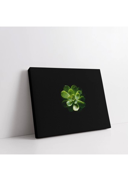 Yapraktaki Damla Kanvas Tablo fiyatları