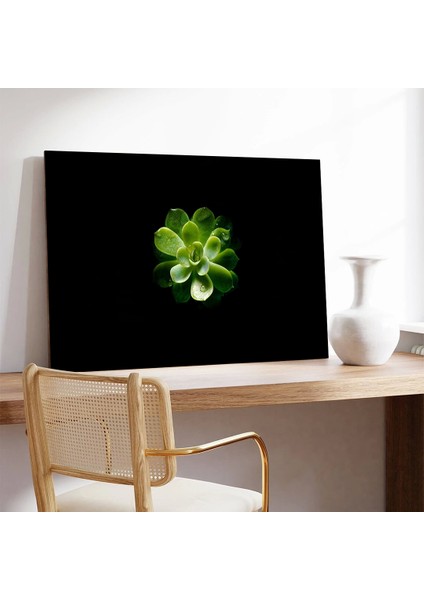 Yapraktaki Damla Kanvas Tablo modelleri