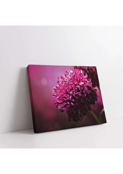Pembe Çiçek Kanvas Tablo fiyatları