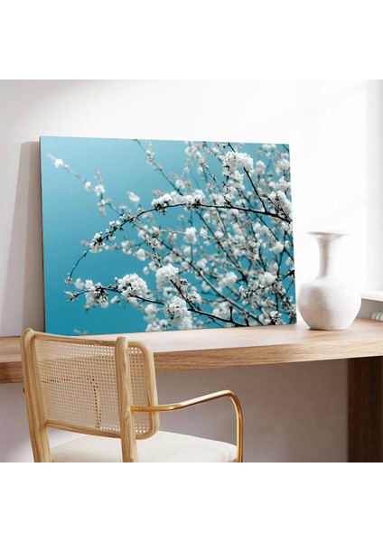 Badem Çiçeği Kanvas Tablo modelleri