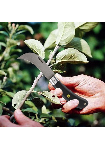 Aşı Bıçağı Bıçak Çakı Profesyonel Çelik Eğri Uçlu Bağ Ağaç Budama Plastik Saplı Aşı Çakısı 2'li Set indirimleri