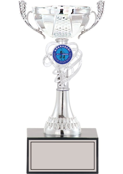 Kişiye Özel Futbol Kupası Ödül Kupası Tören Kupası 24 cm Small 012