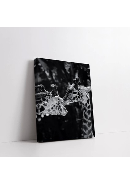 Sallanan Anlar Kanvas Tablo fiyatları