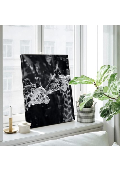 Sallanan Anlar Kanvas Tablo modelleri